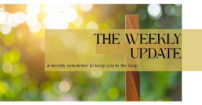 GraceLife Sarasota Weekly News & Updates