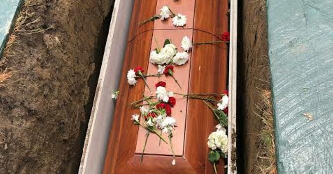 If a Man Dies, Shall He Live Again?