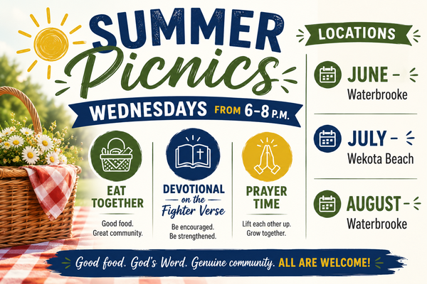 Summer Picnics in the Park