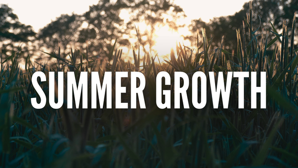 Summer Growth