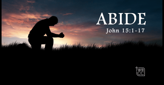 Abide