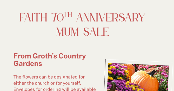 Faith 70th Anniversary Mum Sale