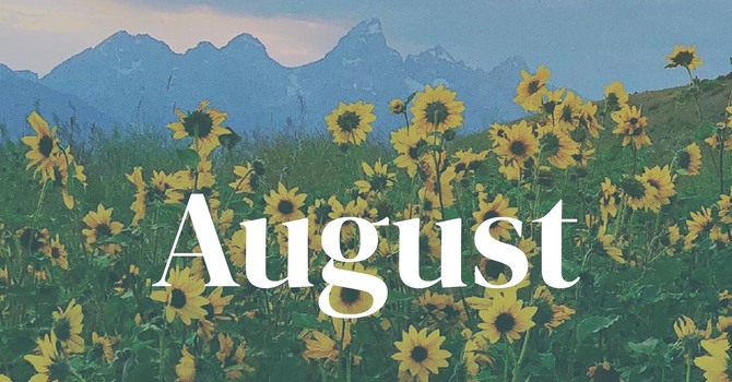 King's Light Newsletter  image