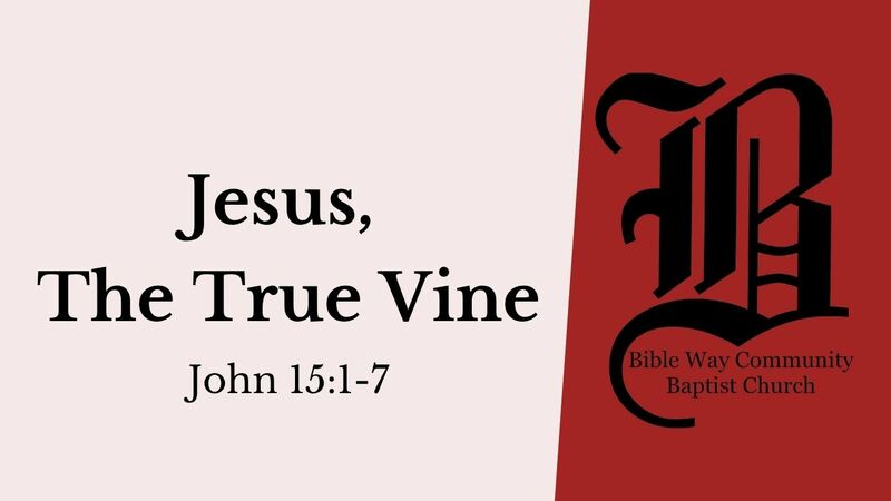 Jesus, The True Vine