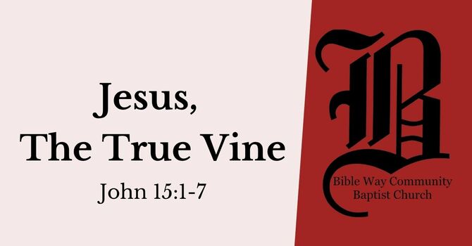 Jesus, The True Vine
