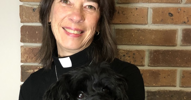 Pet Blessing