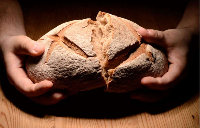 10th Sunday after Pentecost