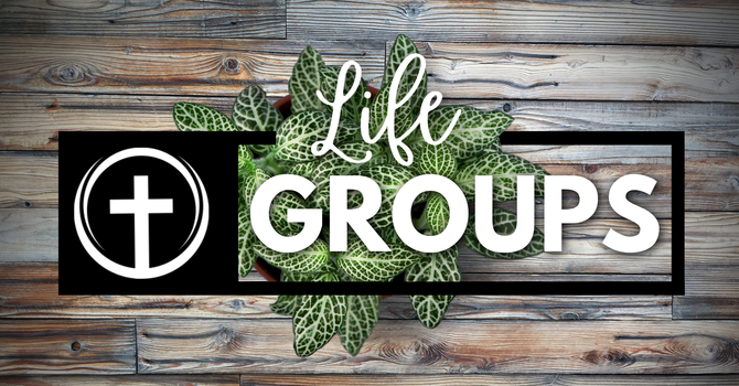 Life Groups