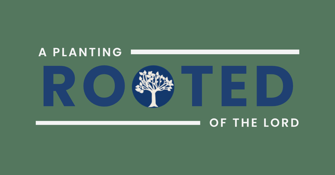 ROOTED