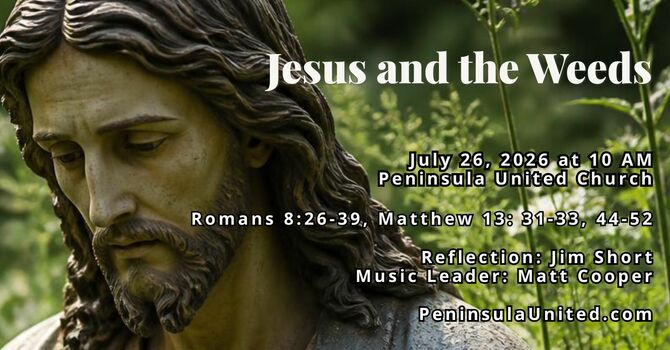 Jesus and the Weeds