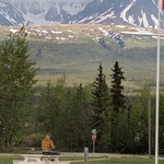 nav image