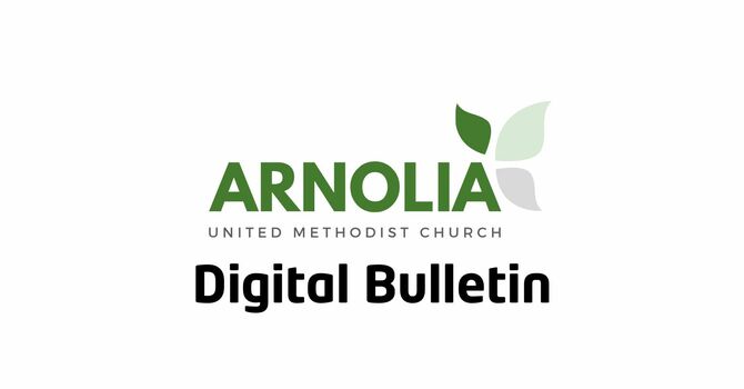 Sunday, August 9 Bulletin
