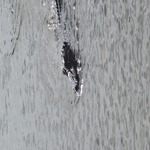 nav image