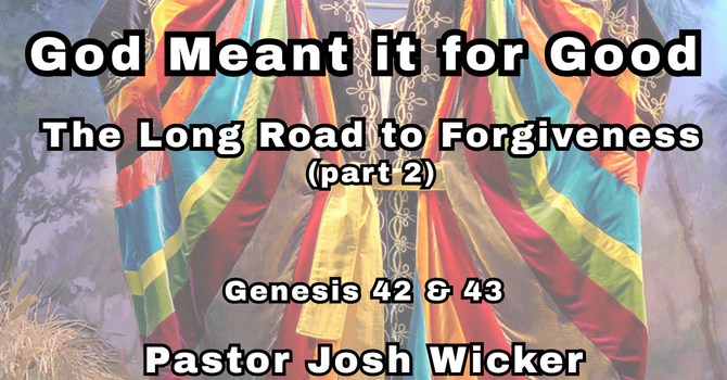 The Long Road to Forgiveness (part 2)