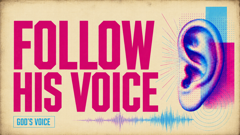 Follow His Voice