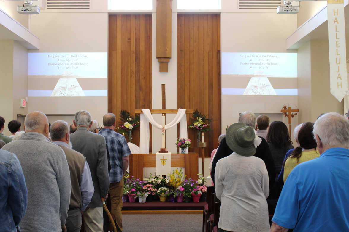 Slideshow image