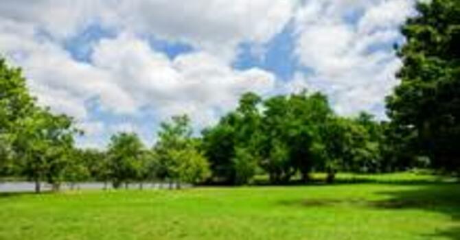 Wednesday Walks at Warner Preserve