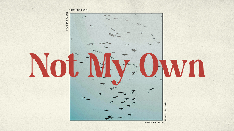 Not My Own (Week 1)