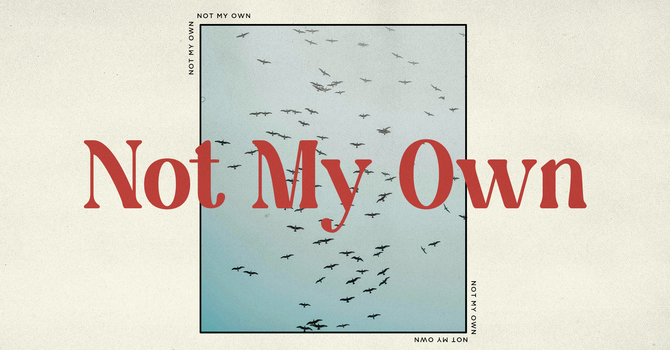 Not My Own (Week 2)