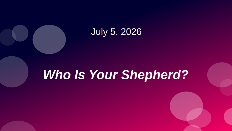 Who Is Your Shepherd?