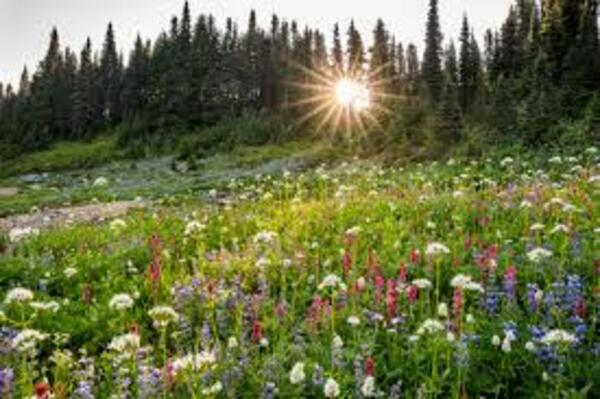 Next small group hike:  August 5