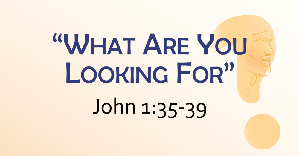 What Are You Looking For?