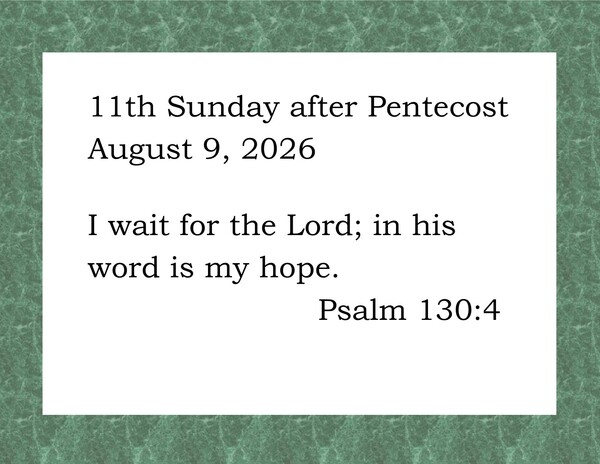 11th Sunday after Pentecost