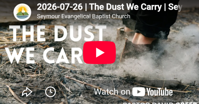 The Dust We Carry 