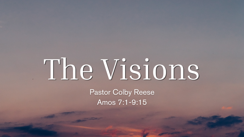 The Visions