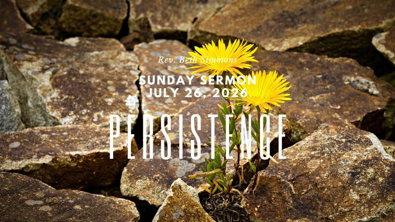All My Days: Persistence