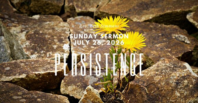 All My Days: Persistence