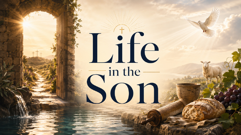 The Son Gives Life