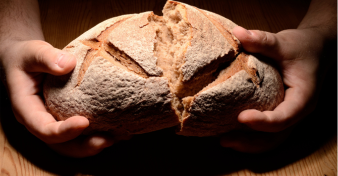 10th Sunday after Pentecost