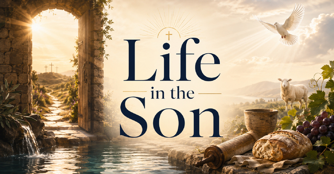 The Son Gives Life