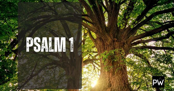 Psalm 1 pt2 image
