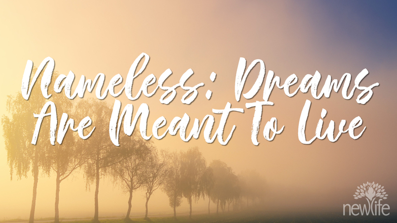 Nameless: Dreams Are Meant To Live