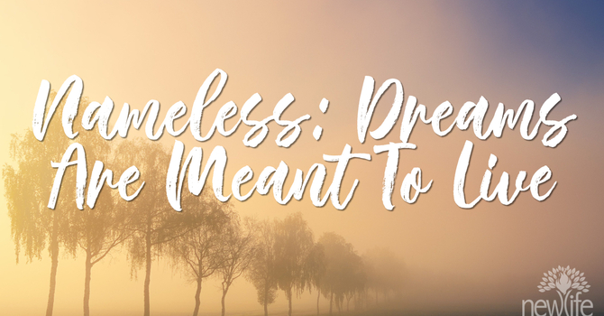 Nameless: Dreams Are Meant To Live