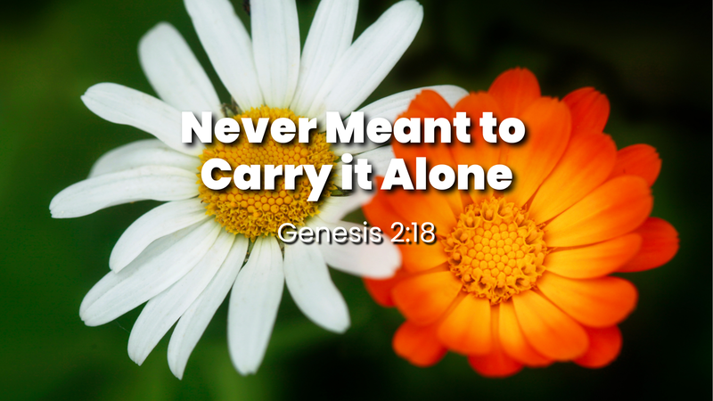 Never Meant to Carry it Alone