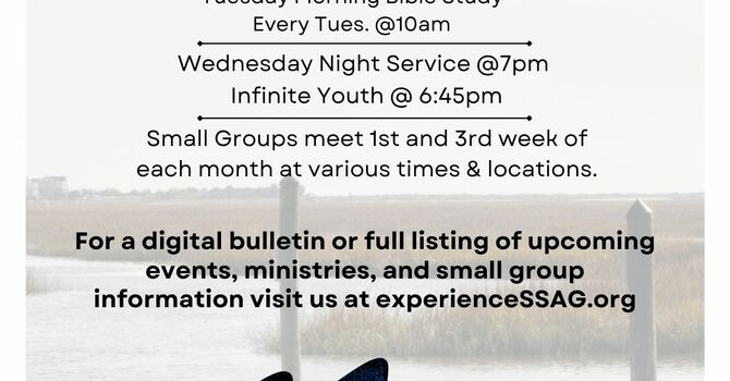 Digital Bulletin 8.2.26