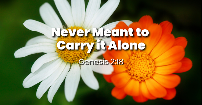 Never Meant to Carry it Alone
