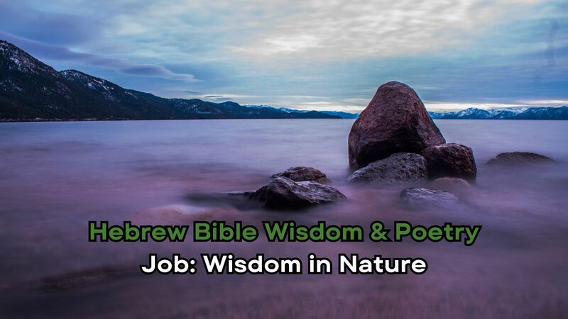 Job: Wisdom in Nature