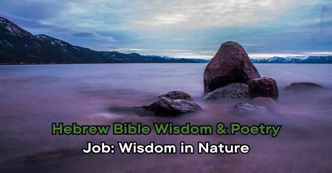 Job: Wisdom in Nature