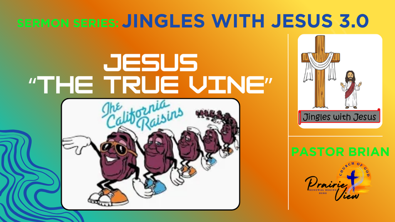 Jesus The True Vine