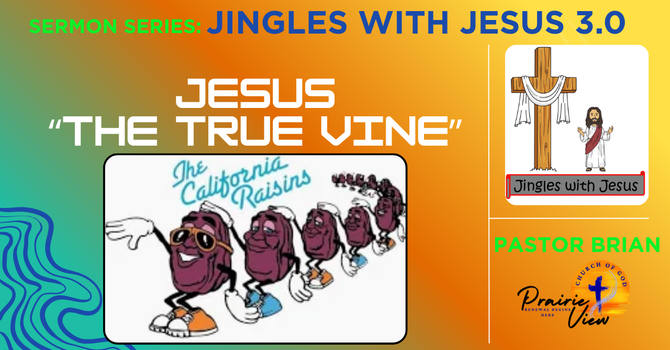 Jesus The True Vine