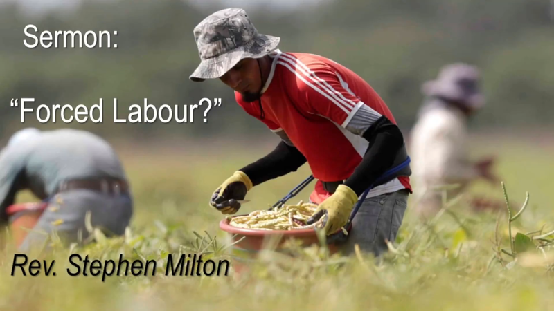 Forced Labour?