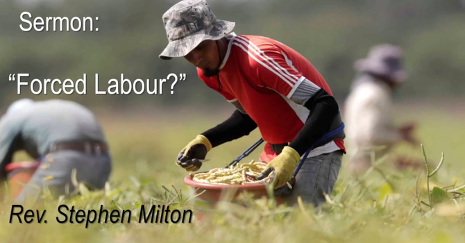 Forced Labour?