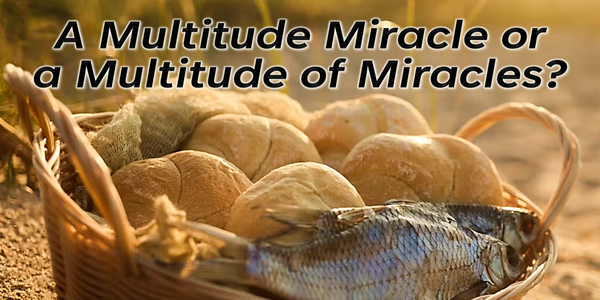 RefleXions on the miracle story of grief and compassion which is told 6 times in the gospel