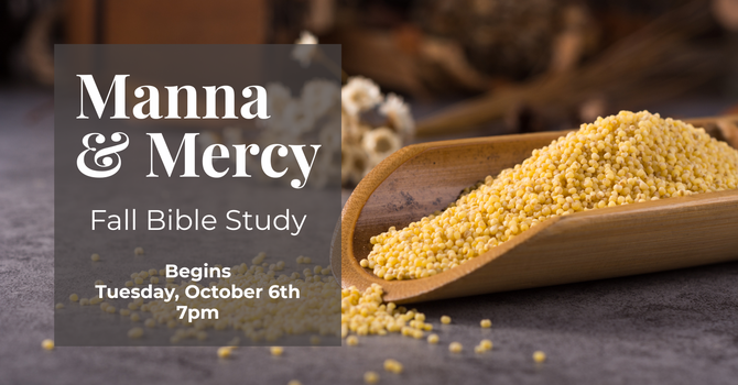 Bible Study: Manna & Mercy