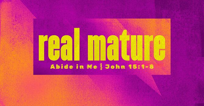 Real Mature #2 - Abide in Me