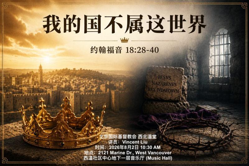 我的国不属这世界